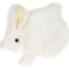 Folkmanis White Bunny Rabbit Hand Puppet 2 Folkmanis White Bunny Rabbit Hand Puppet -Folkmanis Toys Shop 21EvusPKcBL