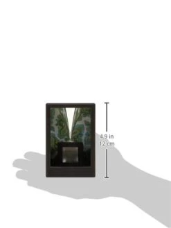 Micro Bank (japan Import) -Folkmanis Toys Shop 31vhJEBU1iL