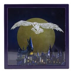 Paladone Harry Potter Hedwig Frame Money Box | Officially Licensed Harry Potter Gifts 10 Paladone Harry Potter Hedwig Frame Money Box | Officially Licensed Harry Potter Gifts -Folkmanis Toys Shop 415oBPSFTlL