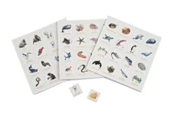 Ocean Bingo -Folkmanis Toys Shop 41HDvJrPN7L