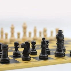 QIAOLI International Chess Luxury Wooden Travel Chess Portable Chess Game Interactive Toys For Adults And Children (30X30X0.5cm, 11.8X11.8X0.1in) Chess Set 9 QIAOLI International Chess Luxury Wooden Travel Chess Portable Chess Game Interactive Toys For Adults And Children (30X30X0.5cm, 11.8X11.8X0.1in) Chess Set -Folkmanis Toys Shop 41Nk2baXpBL