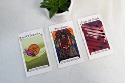 Monica Luve Ask Yourself Tarot Cards – 78-Pcs Tarot Cards With Guide Book And Interpretations – Alternative Tarot Cards For Beginners With Minor And Major Arcana – Original Tarot Illustrations -Folkmanis Toys Shop 41P2aAJfpVL