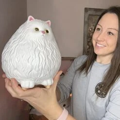 Winsterch Cat Piggy Bank,Coin Piggy Bank Money Saving Box Gifts For Kids Girls Boys,Ceramic Piggy Coin Bank,Practical Gifts For Birthday Christmas,White Piggy Bank,7.49 X 5.9 Inches -Folkmanis Toys Shop 41T6PU0epQL