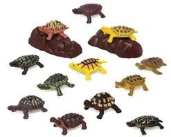 BigBuy Fun- Set (S1123530)