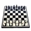 Chess Classic Magnet Chess Set With 2 Chess Pieces Storage Bags, Table Game For Kids And Adults, Enlightenment Toy Chess Set For Kids Portable Travel Chess -Folkmanis Toys Shop 41bhULGVKcL