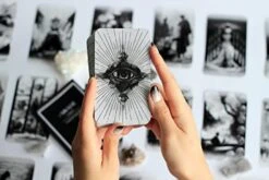 Lunart Design Shade Tarot Deck: Unique Tarot Cards With Guide Book, 78 Original Tarot Cards For Beginners And Experts, Oracle Cards, Deck Of Cards, Witchcraft Supplies -Folkmanis Toys Shop 41gqzsw87WL