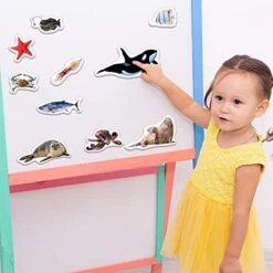 Magdum Fridge Magnets For Toddlers - 30 SEA Photo Kids Magnets For Fridge - Toddler Magnets For Refrigerator - Magnetic Animals - Fridge Magnets For Kids - Animal Magnets - Toddler Fridge Magnets -Folkmanis Toys Shop 41iUiBJ7fIL