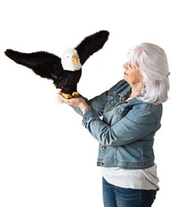 Folkmanis Eagle Hand Puppet -Folkmanis Toys Shop 41ma1s1l0jL