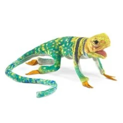 Folkmanis Mini Collared Lizard Finger Puppet, Green, Brown, Yellow, Black 7 Folkmanis Mini Collared Lizard Finger Puppet, Green, Brown, Yellow, Black -Folkmanis Toys Shop 41oFBBQd4tL