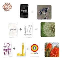 Gofindit Too - Outdoor Nature Treasure Hunt Card Game For Families 9 Gofindit Too - Outdoor Nature Treasure Hunt Card Game For Families -Folkmanis Toys Shop 41oXGBkr6xL