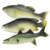 3 Pcs Simulated Fake Fish Model, Lifelike Artificial Sea Food Set For Home Decoration, Aquarium Display Ornaments, Stage Drama & Photography Prop