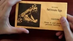 Fun Time Products Dave Stott’s 'Ultimate Prank Kit’, Funny Gag Gifts For Men, Women, And Kids 12 Fun Time Products Dave Stott’s 'Ultimate Prank Kit’, Funny Gag Gifts For Men, Women, And Kids -Folkmanis Toys Shop 41rxKqlBG4L