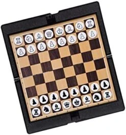 INOOMP 2pcs Travel Set Backgammon Travel Set Kids Play Set Portable Chess Set Kids Play Sets International Draughts Board Chess And Checkers Set Magnetic Checkers International Checkers -Folkmanis Toys Shop 41wXndGeNnL. AC