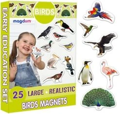 Magdum 25 Fridge Magnets For Toddlers - Birds Photo Kids Magnets For Fridge - Toddler Magnets For Refrigerator - Magnetic Animals - Fridge Magnets For Kids - Animal Magnets - Toddler Fridge Magnets -Folkmanis Toys Shop 51 qdymjiQL. AC 1