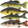 Gresorth 4 PCS Fake Fish Ornament Artificial Food Model Decoration Home Party Garden Kitchen Shop Display Lifelike Hanging Toys Model 1 Gresorth 4 PCS Fake Fish Ornament Artificial Food Model Decoration Home Party Garden Kitchen Shop Display Lifelike Hanging Toys Model -Folkmanis Toys Shop 512hIxt0XUL