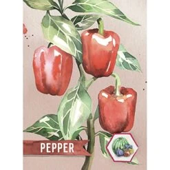 Pencil First Games Delicious Card Game - An Artful Flip-and-Write Gardening Game With Fruits And Vegetables Games For 1-100 Players -Folkmanis Toys Shop 514ljBuPtpL