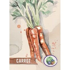 Pencil First Games Delicious Card Game - An Artful Flip-and-Write Gardening Game With Fruits And Vegetables Games For 1-100 Players -Folkmanis Toys Shop 5155sXzejpL