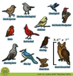 Playtime Felts Birds And Their Names Felt Set | 24 PRECUT & Ready To Play Felt Pieces For Visual, Auditory, And Tactile Learning | OH! SO Adorable Felt Board Stories For Preschool -Folkmanis Toys Shop 518LBbbhT9L