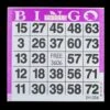 NATIONALBINGOONLINE.COM 1 On Purple Bingo Paper Cards - 1500 Cards