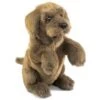 Folkmanis Sitting Dog Hand Puppet, Brown -Folkmanis Toys Shop 51DIabiXjbL