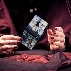 Tarot Of Oppositions Cards With Guidebook & Box, Oracle Card Beginner Tarot Deck For Witch Fate Divination Family Fortune Testing, English Version -Folkmanis Toys Shop 51JW6f8JokL