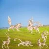 3D Wooden Puzzles Animal Model - Collectibles Wooden Model Kits For Adults Desk Display Gift For Boys/Girls(5 Pcs) (Animal Model) -Folkmanis Toys Shop 51MEQ63VnGL