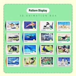 Physics Educational Learning Toddler Toys Animal Vocabulary Montessori Science High Contrast Flash Cards For Kids Children Kindergarten Preschool Gift -Folkmanis Toys Shop 51MloD1CQlL