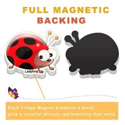 Refrigerator Magnets For Kids 64 PCS Animals Magnets Toys -Dinosaurs Insect Ocean Sea Animal Magnets - Foam Animal -Fridge Magnets For Toddlers Educational Toy For Preschool Learning -Folkmanis Toys Shop 51PRCBtqvmL