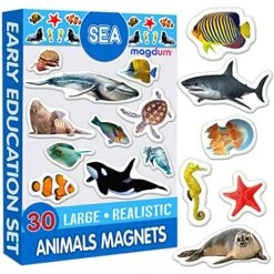Magdum Fridge Magnets For Toddlers - 30 SEA Photo Kids Magnets For Fridge - Toddler Magnets For Refrigerator - Magnetic Animals - Fridge Magnets For Kids - Animal Magnets - Toddler Fridge Magnets