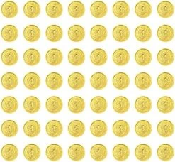 TOYANDONA 200pcs Pirate Coins Treasure Coins Plastic Vintage Coin Toy Coin Chips Jewelry Playset Halloween Party Supplies Activity Game Piece -Folkmanis Toys Shop 51ZuyPjJBcL. AC
