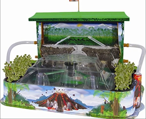 BSM WS 22 N – Scientific Games – Mega Fourmi City 5 BSM WS 22 N – Scientific Games – Mega Fourmi City - Image 3