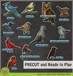 Playtime Felts Birds And Their Names Felt Set | 24 PRECUT & Ready To Play Felt Pieces For Visual, Auditory, And Tactile Learning | OH! SO Adorable Felt Board Stories For Preschool -Folkmanis Toys Shop 51dXifbHAmL