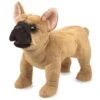 Folkmanis French Bulldog Hand Puppet Plush, Light Brown/Dark Brown, 1 EA -Folkmanis Toys Shop 51ixIyaTqqL