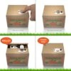 Matney Stealing Coin Cat Box- Piggy Bank - White Kitty - English Speaking 1 Matney Stealing Coin Cat Box- Piggy Bank - White Kitty - English Speaking -Folkmanis Toys Shop 51lDyDClNfL