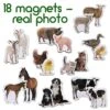 18 Fridge Magnets For Toddlers Magdum - MOM And Baby Kids Magnets For Fridge - Toddler Magnets For Refrigerator - Magnetic Animals - Fridge Magnets For Kids - Animal Magnets - Toddler Fridge Magnets 2 18 Fridge Magnets For Toddlers Magdum - MOM And Baby Kids Magnets For Fridge - Toddler Magnets For Refrigerator - Magnetic Animals - Fridge Magnets For Kids - Animal Magnets - Toddler Fridge Magnets -Folkmanis Toys Shop 51lTaJfmZZL
