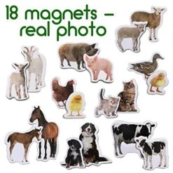 18 Fridge Magnets For Toddlers Magdum - MOM And Baby Kids Magnets For Fridge - Toddler Magnets For Refrigerator - Magnetic Animals - Fridge Magnets For Kids - Animal Magnets - Toddler Fridge Magnets