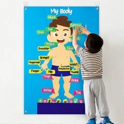 WATINC 35Pcs Body Parts Learning Felt Story Board Set Preschool Human Organ Educational Teaching Storytelling Early Learning Interactive Play Kit Wall Hanging Gift For Toddlers Kids 41 X 30 Inch
