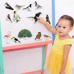 Magdum 25 Fridge Magnets For Toddlers - Birds Photo Kids Magnets For Fridge - Toddler Magnets For Refrigerator - Magnetic Animals - Fridge Magnets For Kids - Animal Magnets - Toddler Fridge Magnets -Folkmanis Toys Shop 51u08YCLUBL