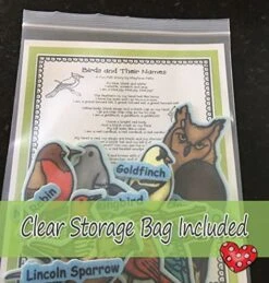 Playtime Felts Birds And Their Names Felt Set | 24 PRECUT & Ready To Play Felt Pieces For Visual, Auditory, And Tactile Learning | OH! SO Adorable Felt Board Stories For Preschool -Folkmanis Toys Shop 51wB8l0yC7L