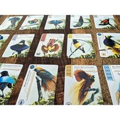 Renegade Game Studios Birdwatcher Board Game -Folkmanis Toys Shop 61HLhea6uSL