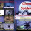 Unknown DVD Giant Spiders Crawling Party Accessory -Folkmanis Toys Shop 61zlV5rZ7iL